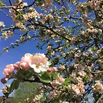 Le Flocon Bleu - Mauselaine Avec Vue Sur Le De