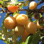 Шале Le Flocon Bleu - Mauselaine Avec Vue Sur Le De Жерарме