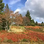 Шале Le Flocon Bleu - Mauselaine Avec Vue Sur Le De *