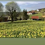 Le Flocon Bleu - Mauselaine Avec Vue Sur Le De *