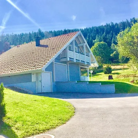 Le Flocon Bleu - Mauselaine Avec Vue Sur Le De Gerardmer