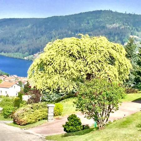 Le Flocon Bleu - Mauselaine Avec Vue Sur Le De * Gérardmer