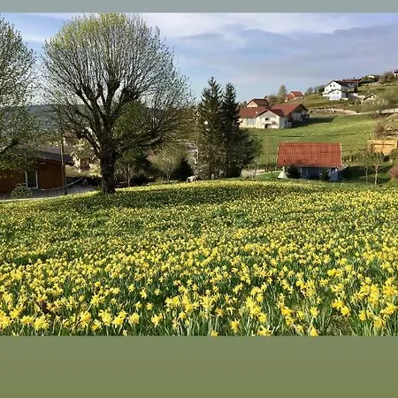Le Flocon Bleu - Mauselaine Avec Vue Sur Le De *