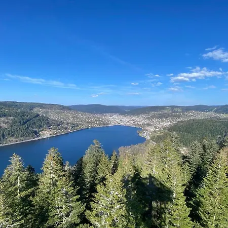Horská chata Le Flocon Bleu - Mauselaine Avec Vue Sur Le De