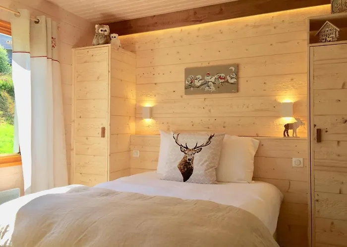 Le Flocon Bleu - Mauselaine Avec Vue Sur Le De * Gérardmer