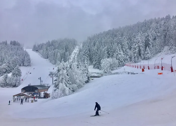 Horská chata Le Flocon Bleu - Mauselaine Avec Vue Sur Le De