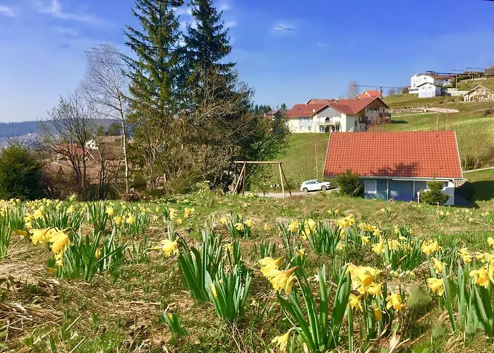 Le Flocon Bleu - Mauselaine Avec Vue Sur Le De Horská chata *