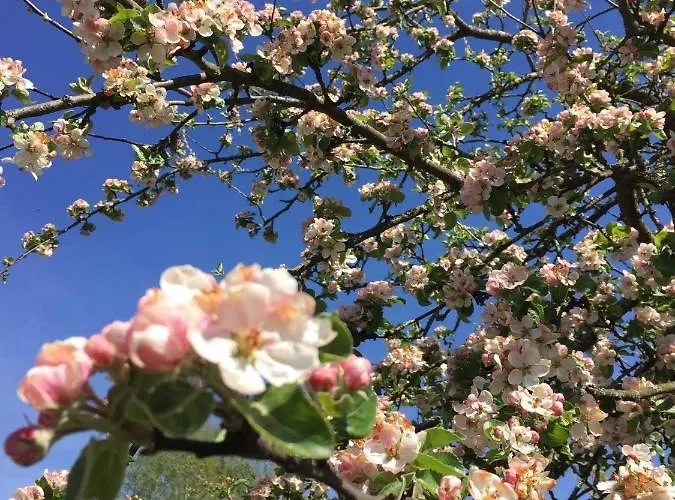Le Flocon Bleu - Mauselaine Avec Vue Sur Le De