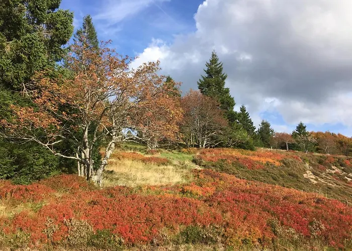 Horská chata Le Flocon Bleu - Mauselaine Avec Vue Sur Le De *