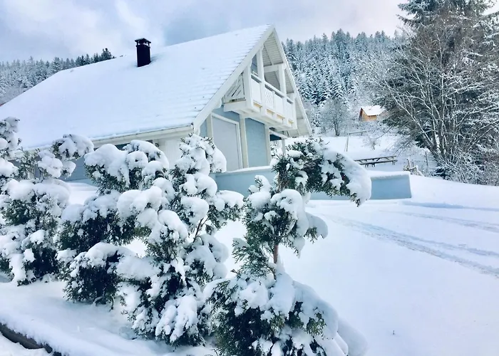 Horská chata Le Flocon Bleu - Mauselaine Avec Vue Sur Le De *