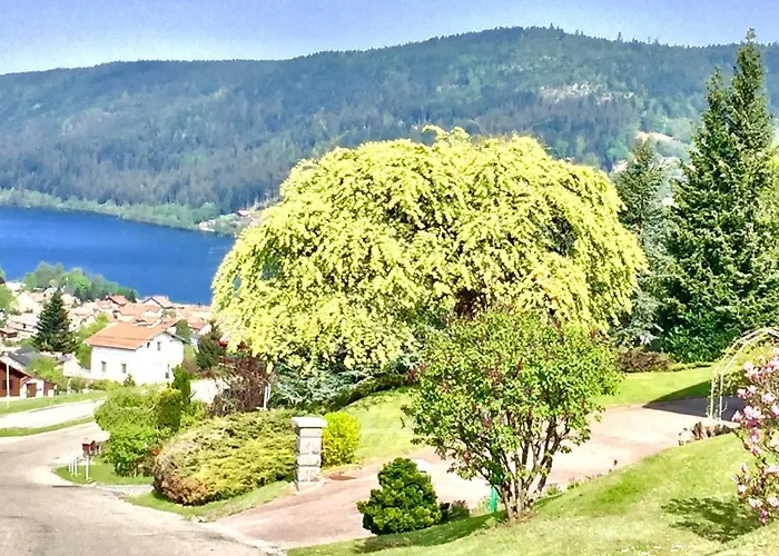 Le Flocon Bleu - Mauselaine Avec Vue Sur Le De * Gérardmer