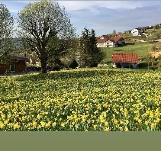 Le Flocon Bleu - Mauselaine Avec Vue Sur Le De *